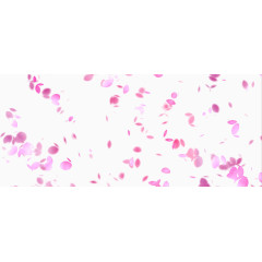 花瓣飞舞