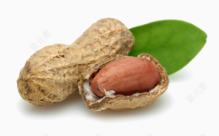 美味的花生