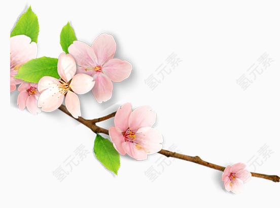 唯美精美花朵桃花花枝