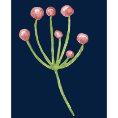 清新森系水彩红色小果子