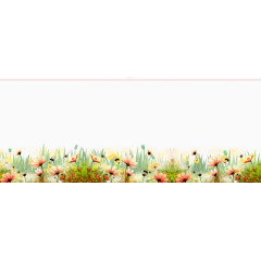 格桑花海报背景