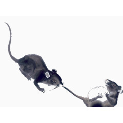 两只老鼠水墨绘画