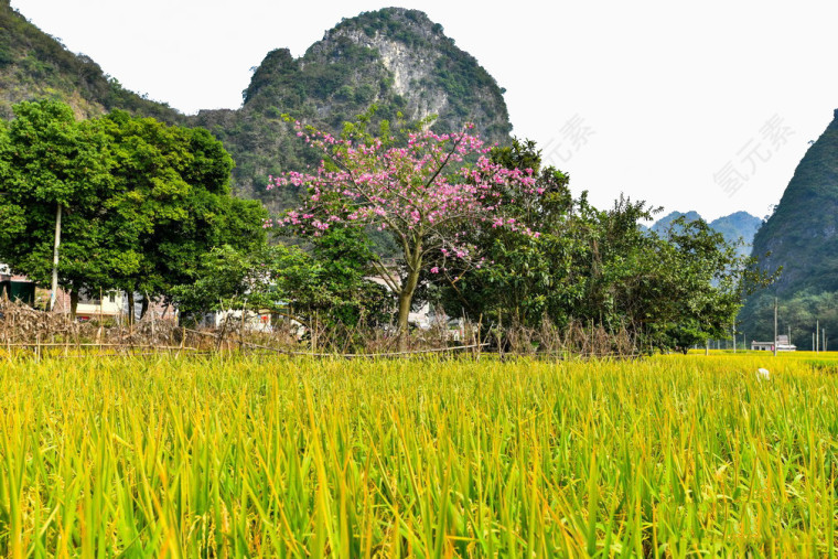 英西峰林景色