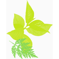 高清创意绿色扁平手绘风格树
