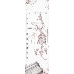 创意动物手绘艺术