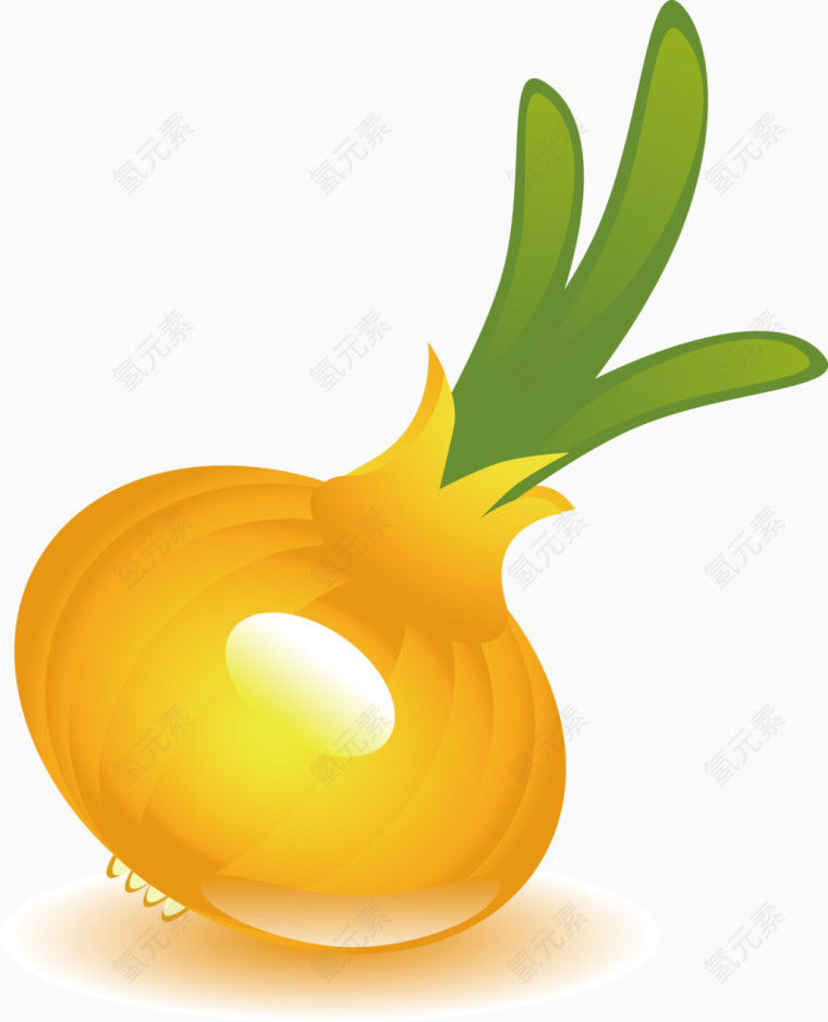 蒜头矢量