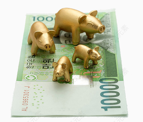 韩币上的小金猪