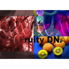 猕猴桃基因链科技未来