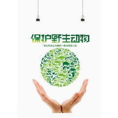 保护野生动物