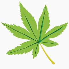 矢量绿色植物树叶