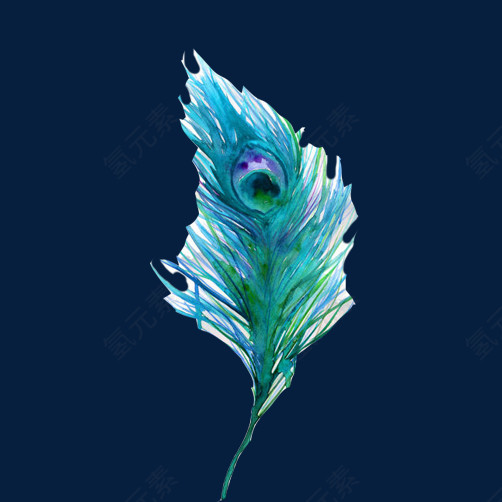 孔雀羽毛素材图片