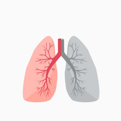 矢量肺的对比图