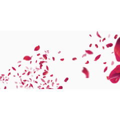 唯美精美漂浮花瓣