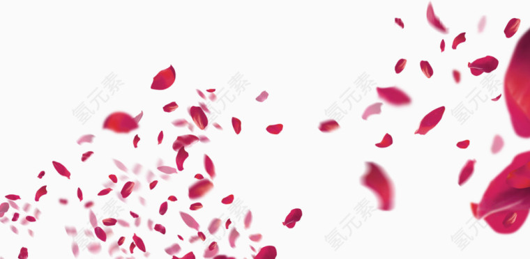 唯美精美漂浮花瓣