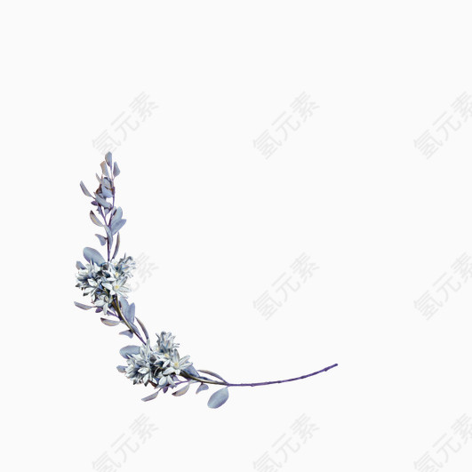 素色简约花环素材