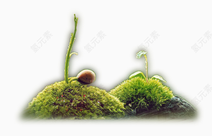 小草堆
