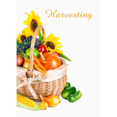 菜市场的半个菜篮高清免扣素材