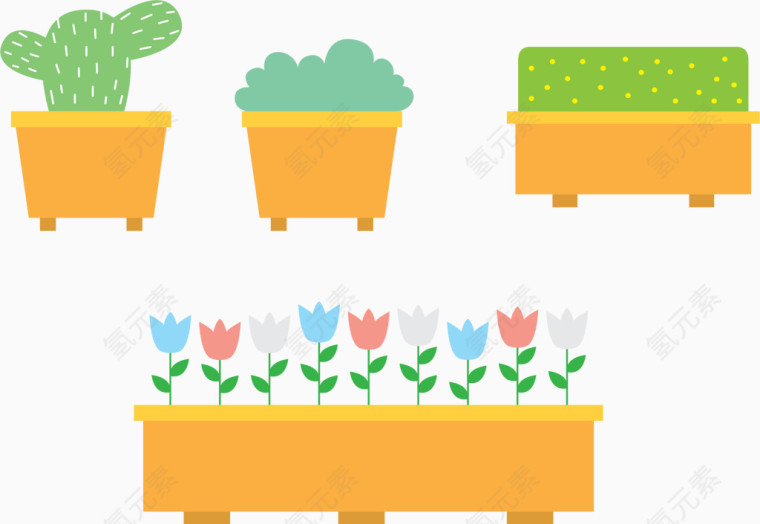 家养绿植盆栽