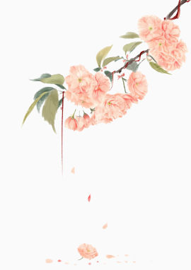 肉粉色贴边花朵绘画