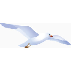 矢量手绘白鸽素材