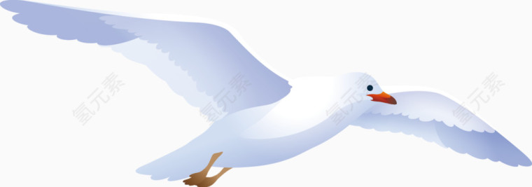 矢量手绘白鸽素材