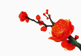 鲜艳梅花