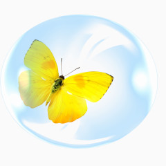 泡泡里的蝴蝶
