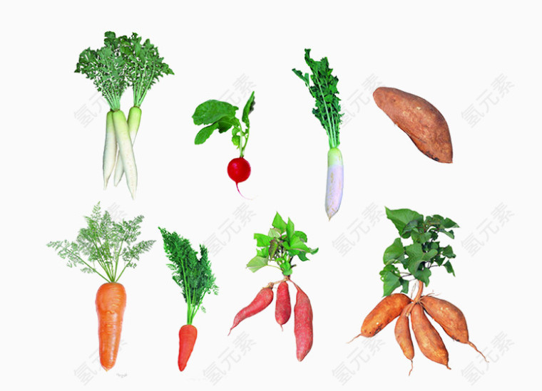 免抠素材美味的胡萝卜