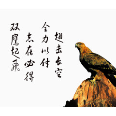 展板素材鹰击长空