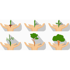 矢量树生长过程