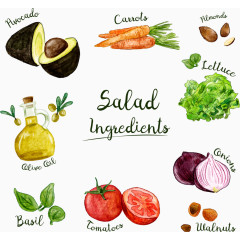 沙拉手绘蔬菜