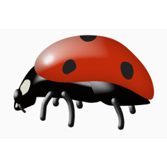 卡通手绘七星瓢虫