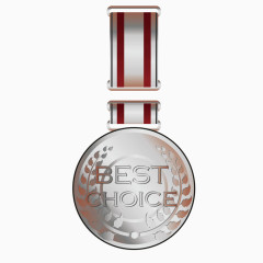 矢量荣誉资质银质奖牌