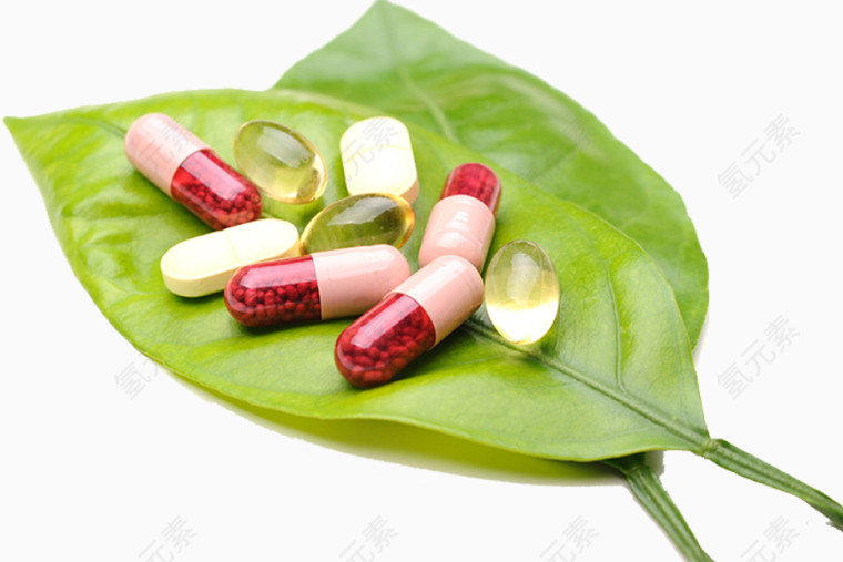 生物科学