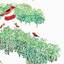 森林素材