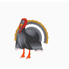 带着头巾的火鸡