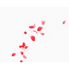 散落的红色花瓣