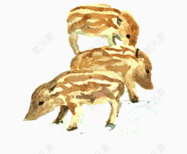 三只小猪