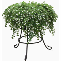 绿色植物家具花架