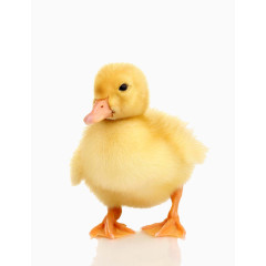 水彩玩具火车矢量素材