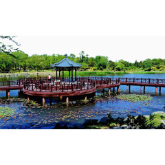 夏日圆明园