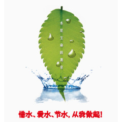 水是生命的源泉