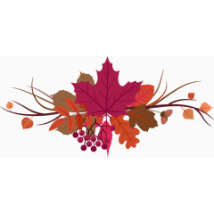 感恩节矢量花纹