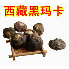 西藏高原黑玛卡