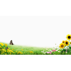 春天草地蝴蝶背景素材