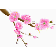 梅