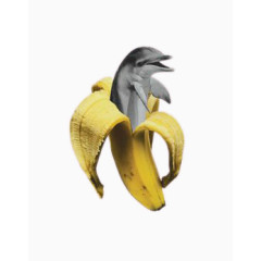 香蕉中钻出来的海豚