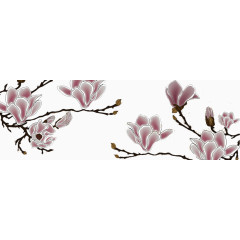 兰花壁纸