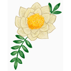 手绘淡雅花卉装饰元素