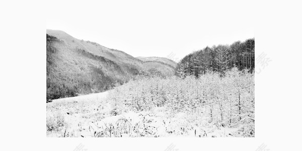 冬季户外雪景